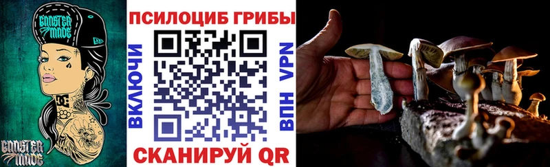 Псилоцибиновые грибы MAGIC MUSHROOMS  блэк спрут зеркало  Майский  где купить  